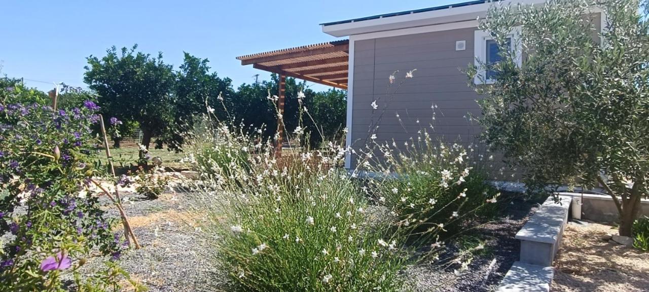 Villa Nafplio Lodge
