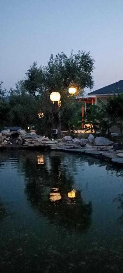 Nafplio Lodge * Nafplio